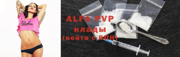 крисы Верхний Тагил