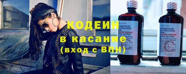 крисы Верхний Тагил