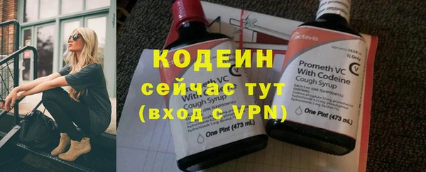 крисы Верхний Тагил