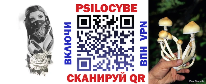 Купить  Саяногорск  Галлюциногенные грибы прущие грибы 